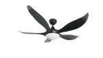 Mayer D'Fan by Mistral Typhoon 52