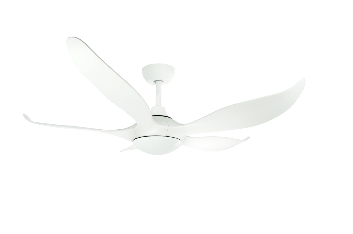 Mayer D'Fan by Mistral Typhoon 52