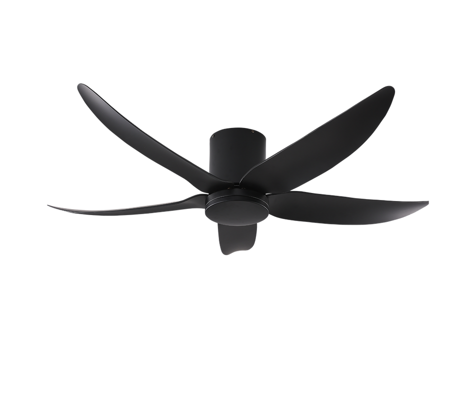 VITO-5
